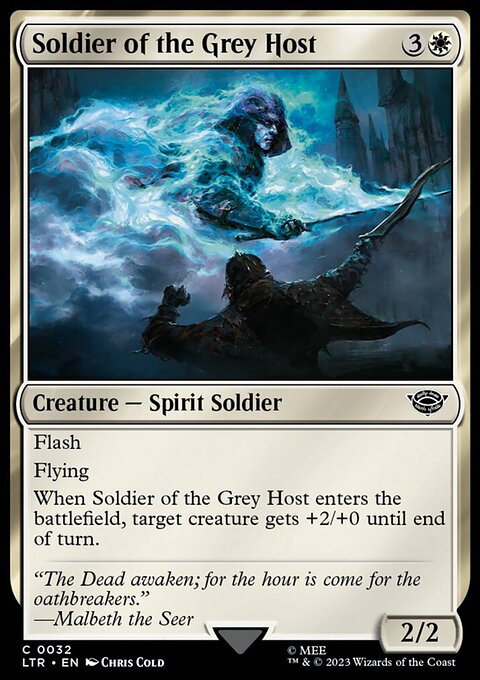 Soldier of the Grey Host